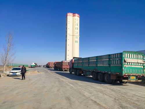 ԭ��܇�M(j��n)�S